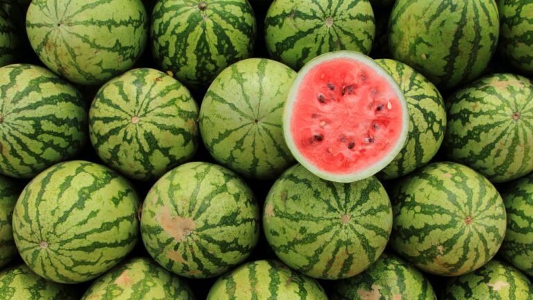 AI_Watermelon